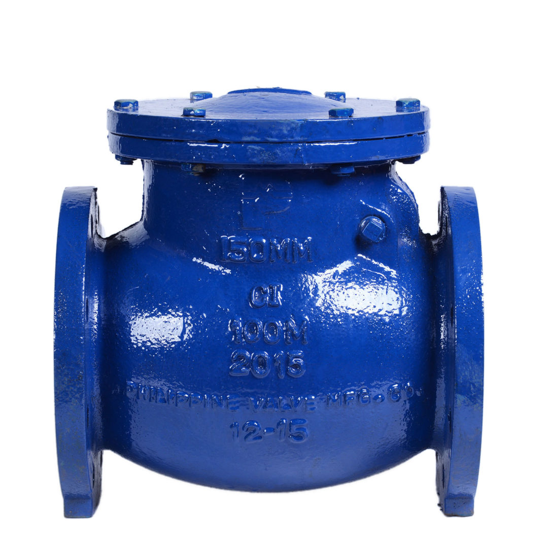 D I Check Valve Flange Type Philippine Valve